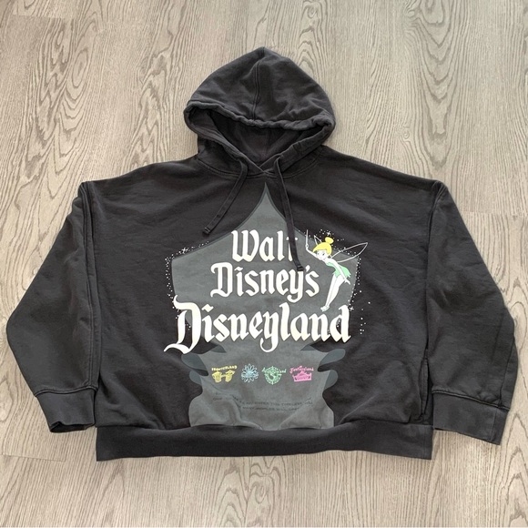 Disney 100 Disneyland Tinkerbell Gray Cropped Hoodie The Eras Collection Large‎ - Picture 1 of 6
